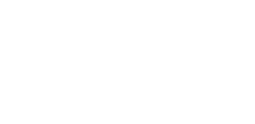 gitary martin logo białe 512x250